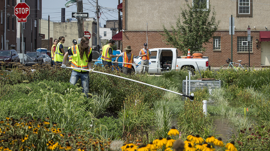Environmental engineering students doing a clean up 