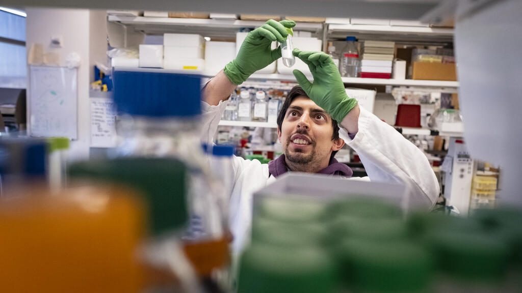 A researcher at Katz in the lab