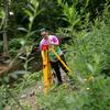 Temple student outside next to a riverbed using land surveying equipment.