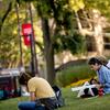 students studying on campus on a spring day
