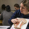 Health%20Studies%20Major%20header%20photo_Oct21.jpg