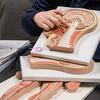 Kinesiology_UG_0.jpg