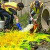 StormwaterMgmt_Cert.jpg
