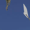 Sustainable_Community_Planning_Banner.jpg
